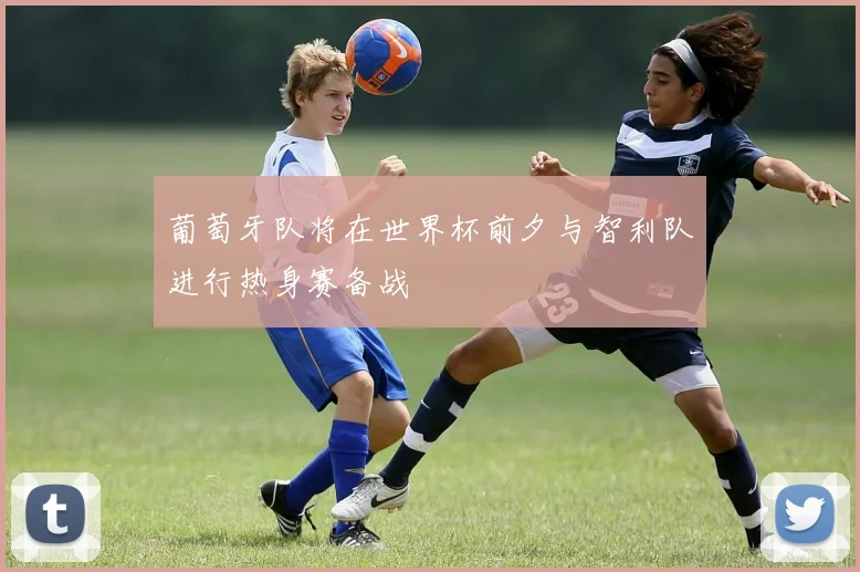 葡萄牙队将在世界杯前夕与智利队进行热身赛备战